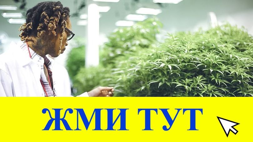 Купить наркотики в Чебоксарах